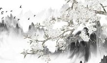 2020年四月出生的鼠，姻缘多合，为家里添福添财