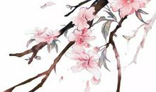 2020年3月24号三月初一生的女孩是什么命，起什么名字有福气