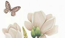 生肖属狗女2020年12月份生小孩好不好，不到四十就能名满四方