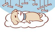 最狡猾的四大生肖，防不胜防！