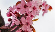 这些星座春节过后好运爆发，羡慕