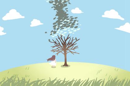 微信发财名字 风水上有什么影响 2