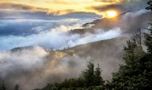 运势不一般的3生肖，11月中旬，运势不一般，横财赚到手软