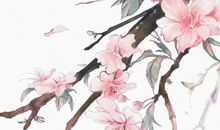 2020年10月28号出生的男孩起什么名字高分，五行属什么