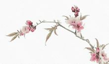 生辰八字取名：2020年10月29号出生的男孩取什么名字有涵义