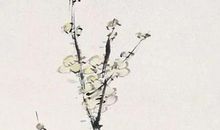 生辰八字取名：2020年10月31号出生的男孩根据楚辞取名字