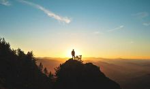 紫微14主星一周运势（5.11-5.17）