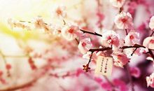 2020年腊八节这天冲什么生肖,2020腊八节新店开张好吗？(图文)