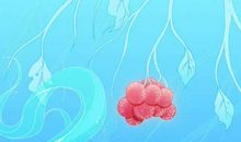 2020年农历二月十三出生的女孩是什么命，怎么起名字运势好