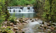 1月中旬拨云见日，4生肖财运居高不下，事业一帆风顺