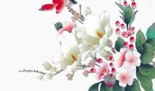 生肖属狗女2020年11月份生小孩好不好，自尊自福名丽双收之相