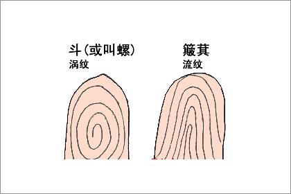 九斗一簸箕有什么说法适合职业分析