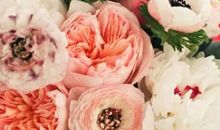 2020年农历八月,九月和十月生肖属蛇和生肖属狗订婚吉日精选