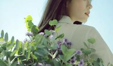 哪些生肖总是又丧又坚强地扛着？