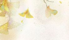 生肖属龙的妈妈和什么生肖属相的孩子是六合，龙和鼠六合