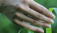 断掌纹什么意思 智慧线和婚姻线重迭形成一条线