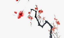 2020年2月10号正月十七出生的男孩命理解析，起什么名字好