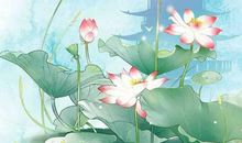 生肖属牛的爸爸和什么生肖属相的孩子是六合，牛和鼠是六合