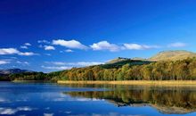 有毅力，有魄力，可以用理性战胜感性的生肖女