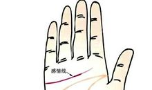 手掌肥厚的婚姻运势非常的美满？手掌厚的人运势如何？(图文)