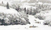 生肖属猪爸爸2020年适合要鼠宝宝吗