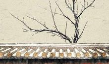 2019年12月11号出生的女孩结合生辰八字起名