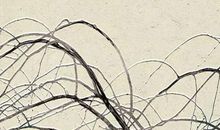 2019年12月10号出生的女孩起什么名字气质好听