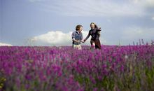 男鸡女狗属相的婚配结果