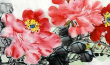 宋韶光生肖属狗2020年运势运程全面解析