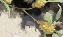 生辰八字起名：2019年12月9号出生的女孩起什么名字好