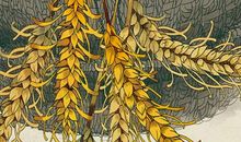 2019年12月8号出生的女孩起什么名字气质好听