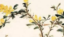 2020年12月23号出生的女孩怎么起名字，用什么字涵义好