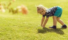 生肖狗女宝宝名字大全