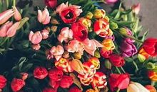 2020年农历八月,九月和十月生肖属马和生肖属马订婚吉日精选