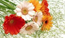 6月1日-7日星座运势：狮子充满力量，天秤保持冷静，水瓶竭尽全力