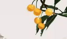 生辰八字起名：2019年12月8号出生的男孩取什么名字有寓意