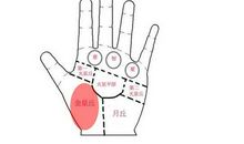 富贵手相的特征,从这些特征看看你是不是富贵命