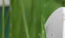 梦到苍蝇满屋飞是什么意思