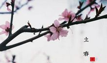 立春前后出生属蛇的人事业运势顺吗 命运简析！(图文)