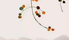 2019年12月31号出生的女孩结合生辰八字起名