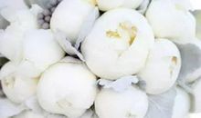 2020年农历八月,九月和十月生肖属蛇和生肖属鸡订婚吉日一览