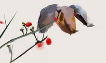 2019年12月25号出生的女孩起什么名字气质好听