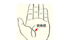 小指旁边的短线你知道是什么吗?财运线在无名指下方