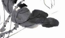 2020年农历六月出生的鼠宝宝高分好听名字推荐