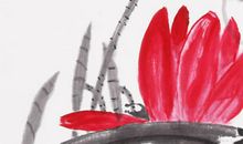 2020鼠年3月份生肖属猪人能遇上贵人吗，运势如何