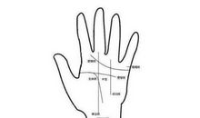 教你怎样看手相中的事业线