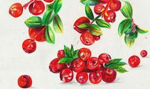 2019年12月10号出生的女孩结合生辰八字起名