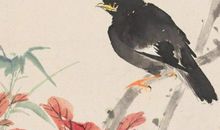 2020年生肖属马的幸运颜色和幸福数字