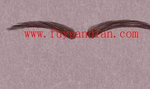 眉毛受伤留疤代表什么 六亲缘不好