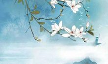 生肖属猪的父母和什么生肖属相的孩子相害相冲，猪与鼠不合